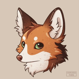 Нет лисичек