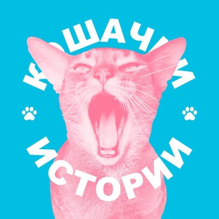 Настя и кошачьи истории 🐱