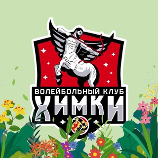 Волейбольный клуб "Химки" | ВК Химки | Волейбол