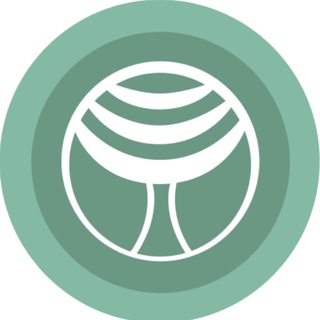 Волейбольный клуб «Липецк»