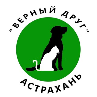 ВЕРНЫЙ ДРУГ. АСТРАХАНЬ. 🐶vdrug_priut