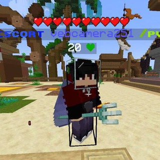 Щитодрочер Вебка