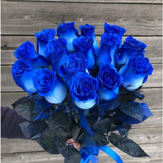 Страпон / Пеггинг Уфа 02 / Тематические Знакомства