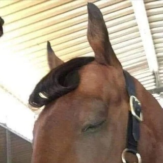 жюлі від 𝟝 до 𝟟 🪤