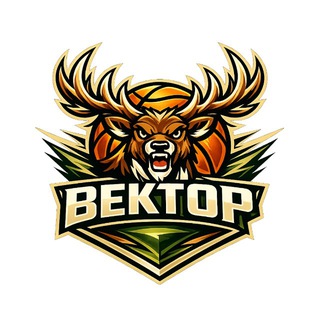 Спортивный клуб «Вектор»