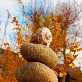 МАНТРА - MANTRA 💥медитации, практики💥