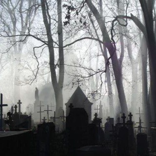 ЧЕРНОКНИЖИЕ ⛧ ОБРЯДЫ ⛥ ГАДАНИЯ ☾