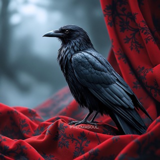 Медея 🖤 Ведьма