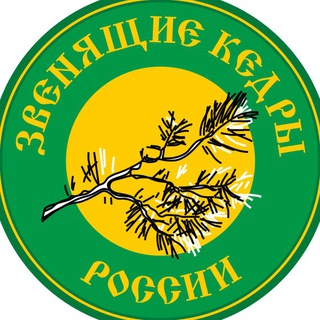 Звенящие Кедры - Мегре, Анастасия, Родовые поместья