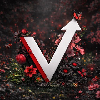 «Вектор» Курган | Автошкола 🚗