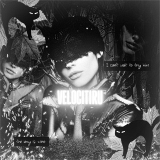 Velocitiru АЕ 🍁