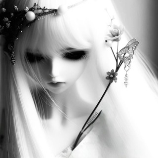 𝒓𝒆𝒂𝒍𝒊𝒕𝒚 𝒑𝒐𝒓𝒕𝒂𝒍