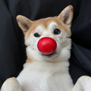 Я подам на эпиляцию!