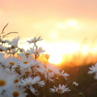 Верую ☦️ Православие