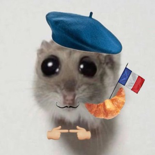 Verbia | Французский язык