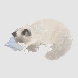 уютный лайф