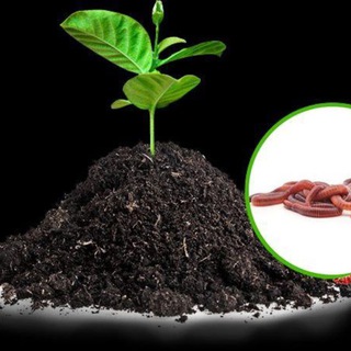 СЕКРЕТ🪴ФЕРМЫ🪱 КФХ VERMILIFE