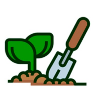 Вершки про растения. (Ну почти)