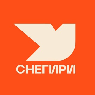 НИИ Снегири