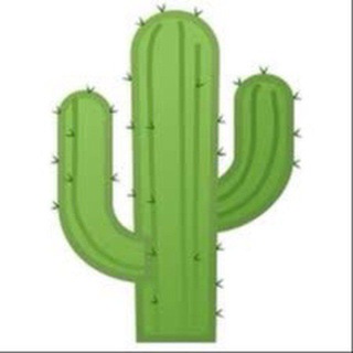 Весёлый Кактус