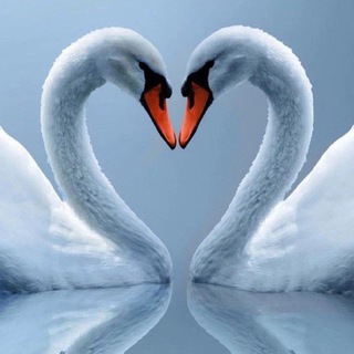 Красивые открытки