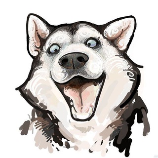 Весёлый хвост🐶🐱