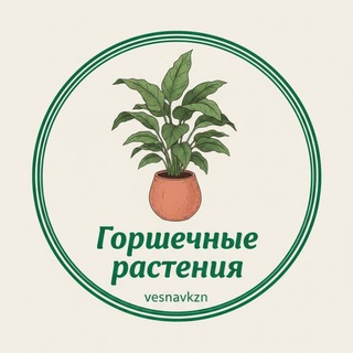 Горшечные растения. Казань🌺