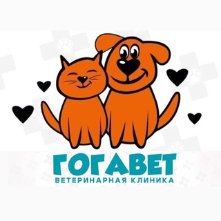 Ветеринарная клиника«ГогаВет»🚑🦮🐈🚈 +79495243965