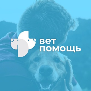 Ветеринарная клиника доктора Авилкиной | Бийск