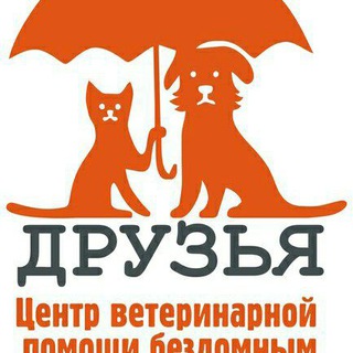 канал Друзья ветеринарный госпиталь Воронеж
