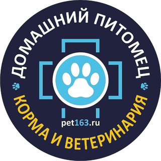 🐾 Домашний питомец 🐾