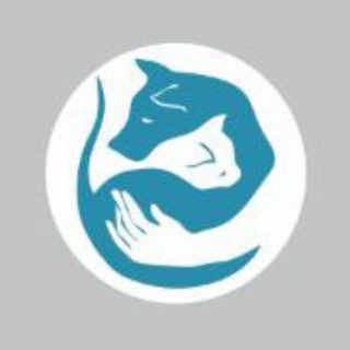 Ветклиника Чернышевой