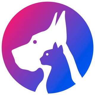 Ветеринарная клиника Лакки 🐕