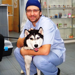 Ветеринарная офтальмология Комарова Сергея