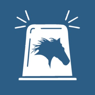 Ветеринарный патруль. Краснодарский край