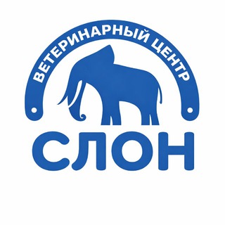 Краснодар | Ветеринарный центр Слон