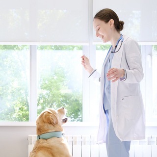 Заметки ветеринарного врача