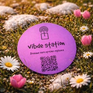 vibde station