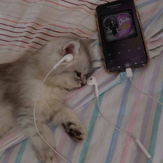 вайбовые треки из тт 💜 | музыка из тик тока