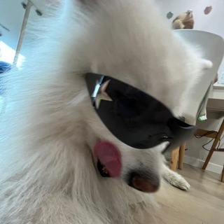 🙏vibe real live🫂