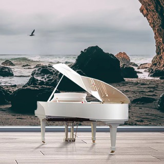 A Musician’s Notes