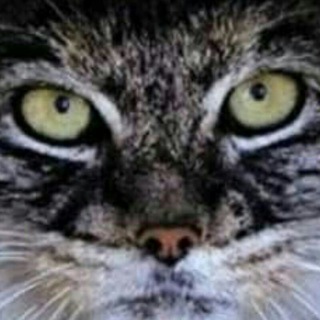 🎬Видеоролики с YouTube🎥