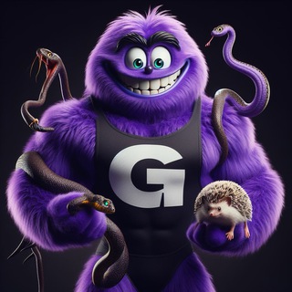 Что посмотреть ?