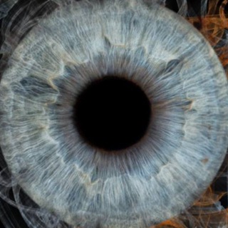 Chapters & Charm | книги