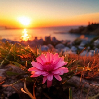 Красивые цветочки и не только...