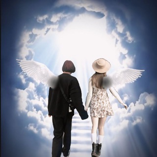 ʙиᴋᴀ и ʙᴏʙᴀ 🕊