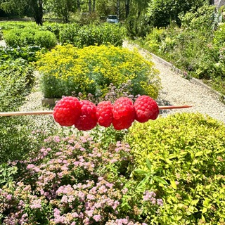 Викины заметки | искусство, книги, дети, развитие