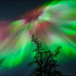 Охотник за северным сиянием