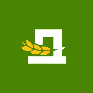 ДОН | Молодёжная станица 🍎