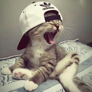 (Рест) просто Вилли🎀